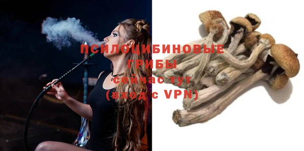 MESCALINE Ельня