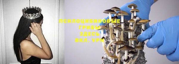 MESCALINE Ельня