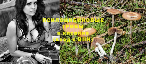 MESCALINE Ельня