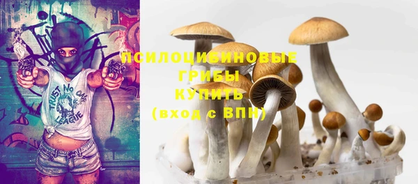 spice Елабуга