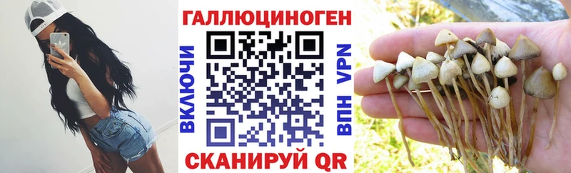 Купить закладки  Ялта  Псилоцибиновые грибы мухоморы 